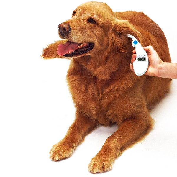Kedi ve Köpeklerde fizyolojik değerler Petside Veteriner Kliniği